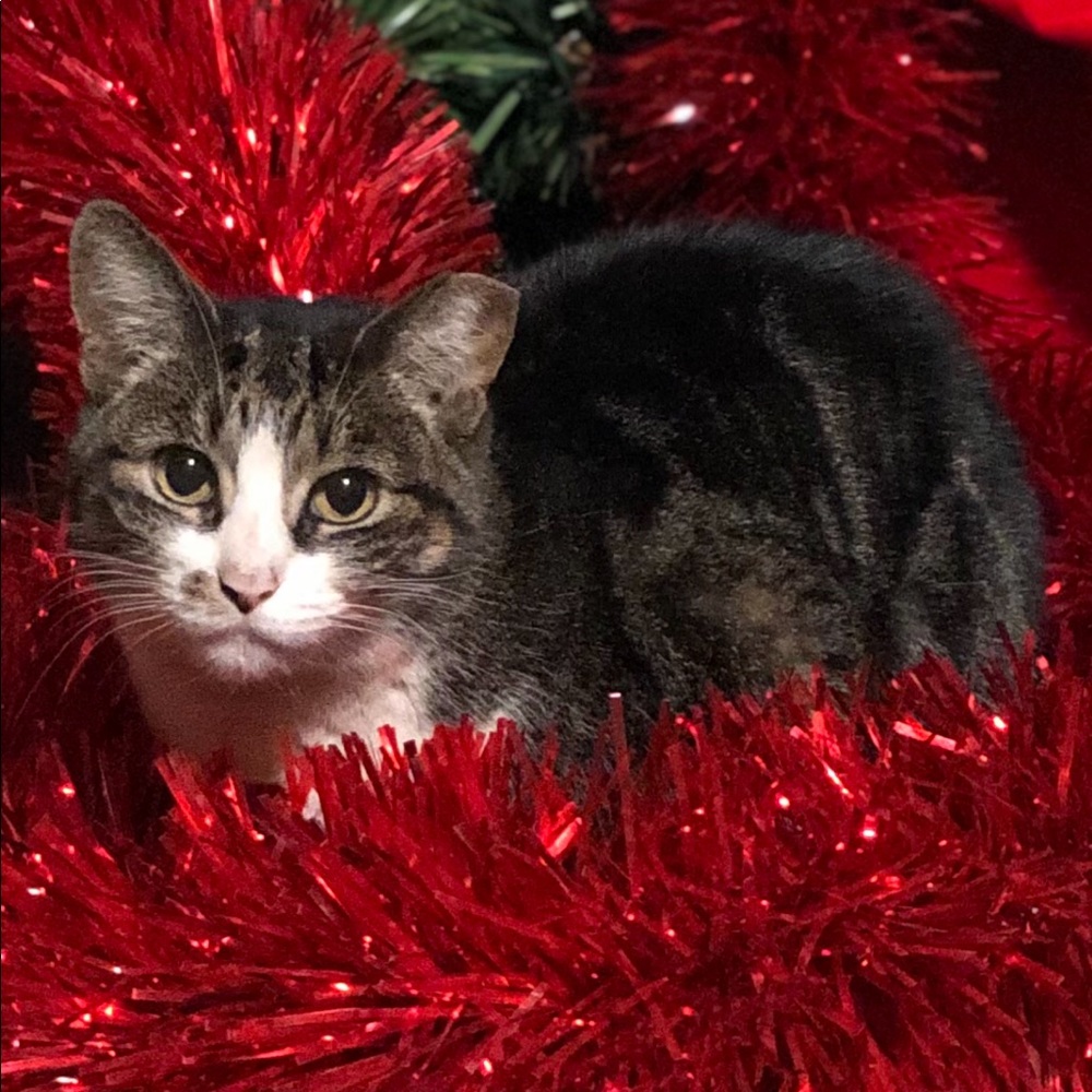 Meet your Posher, Scott